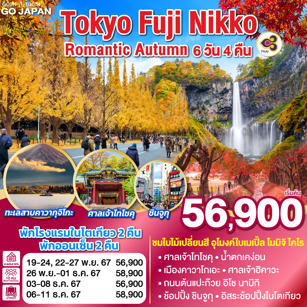 TOKYO FUJI NIKKO ROMANTIC AUTUMN 6D 4N