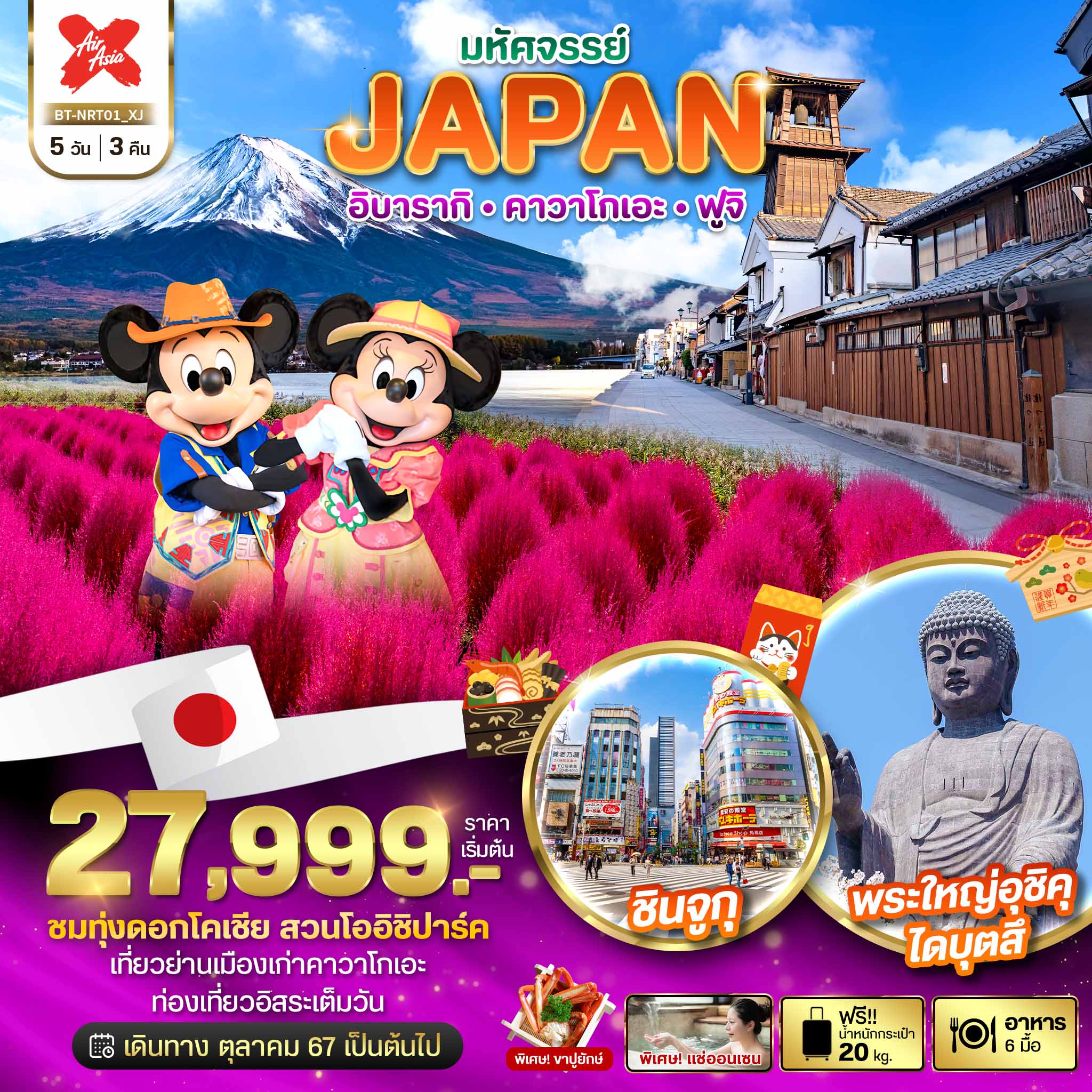 JAPAN อิบารากิ คาวาโกเอะ ฟูจิ 5 วัน 3 คืน